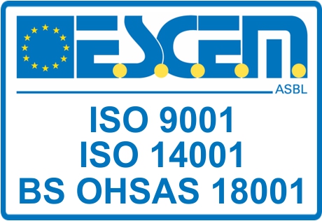 BS OHSAS 18001 : 2007