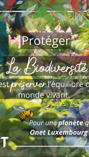 🌿 22 mai – Journée mondiale de la biodiversité 🌿